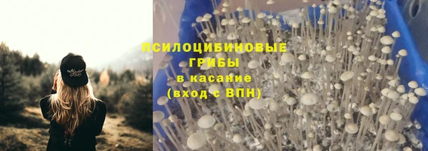 эйфоретик Алексин