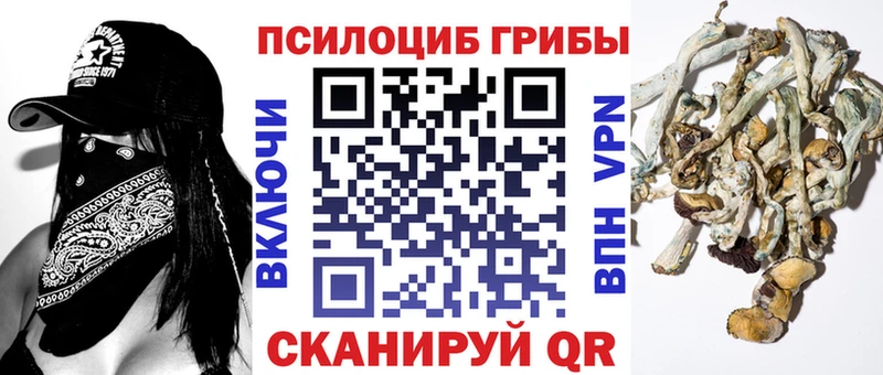 где можно купить наркотик  Нерчинск  shop состав  Галлюциногенные грибы мухоморы 